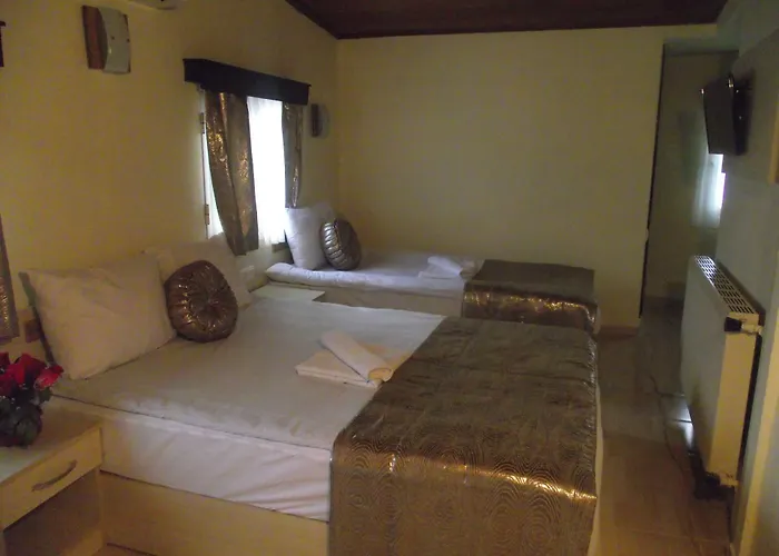 Hotell Olimpiyat