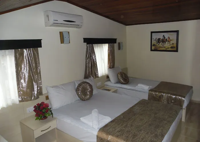 Hotell Olimpiyat 2*