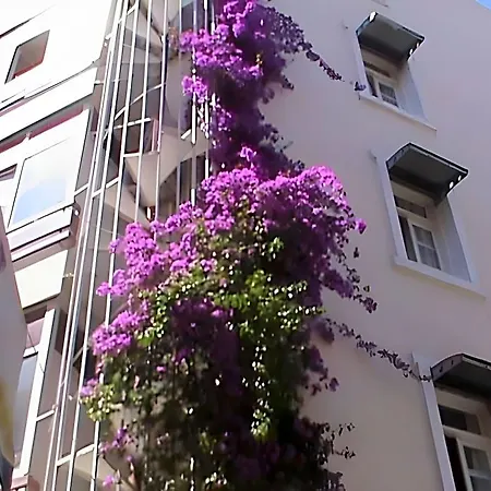 Olimpiyat
