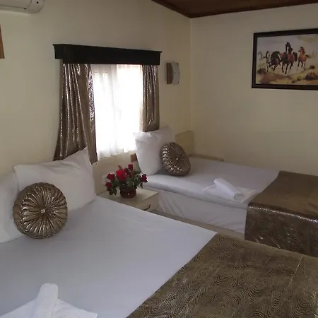 Hotel Olimpiyat 2*
