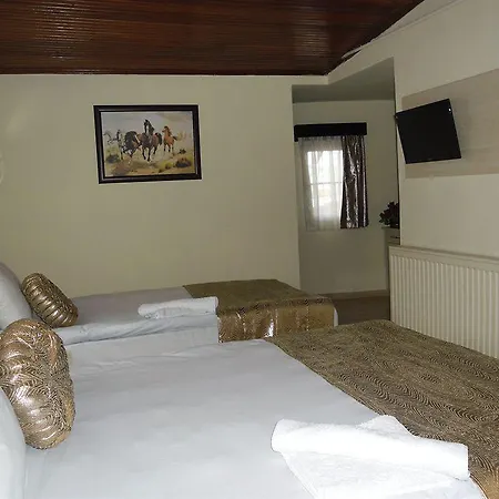 Hotel Olimpiyat 2*